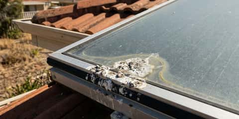 A solar panel corner with bird droppings and a yellowish stain trail on the glass, mounted on a tiled roof with houses visible in the background.