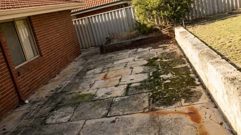 Weathered limestone paving beside a Perth house with green moss and algae spreading through the joints and rust-orange bore water staining
