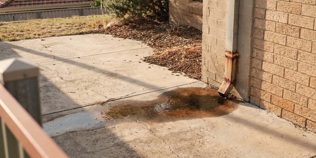 A rusted metal downpipe at the corner of a brick house empties onto a concrete patio, leaving a pool of brownish stained water beside a garden bed of mulch and dry plants.