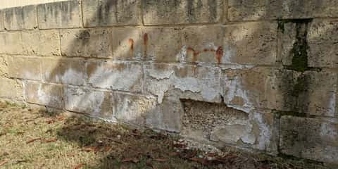 Weathered Perth limestone retaining wall showing white efflorescence bloom, flaking surface and one block spalled open to expose the aggregate behind it