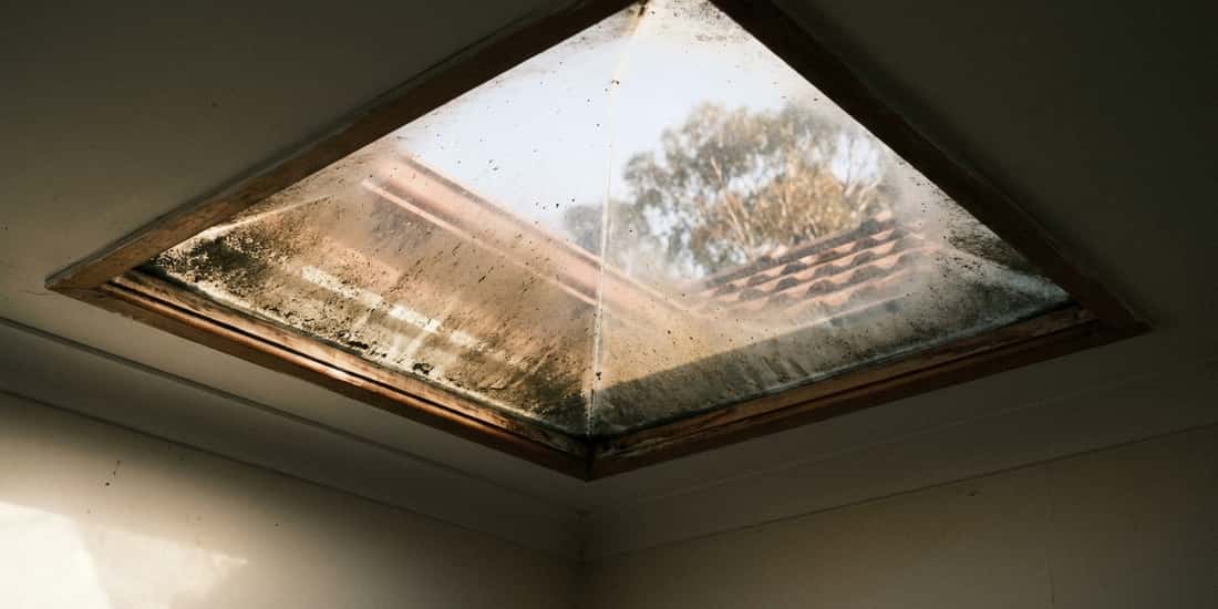 A dirty pyramid-shaped skylight with grime and mold streaks, viewed from inside a room, showing a tree and roof tiles through the glass.