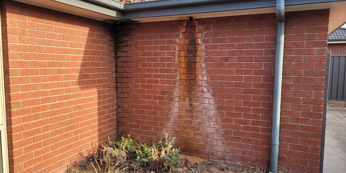 Brick veneer house corner under a Colorbond gutter showing a vertical dark stain running down the wall beside a downpipe.