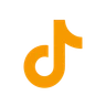 TikTok icon