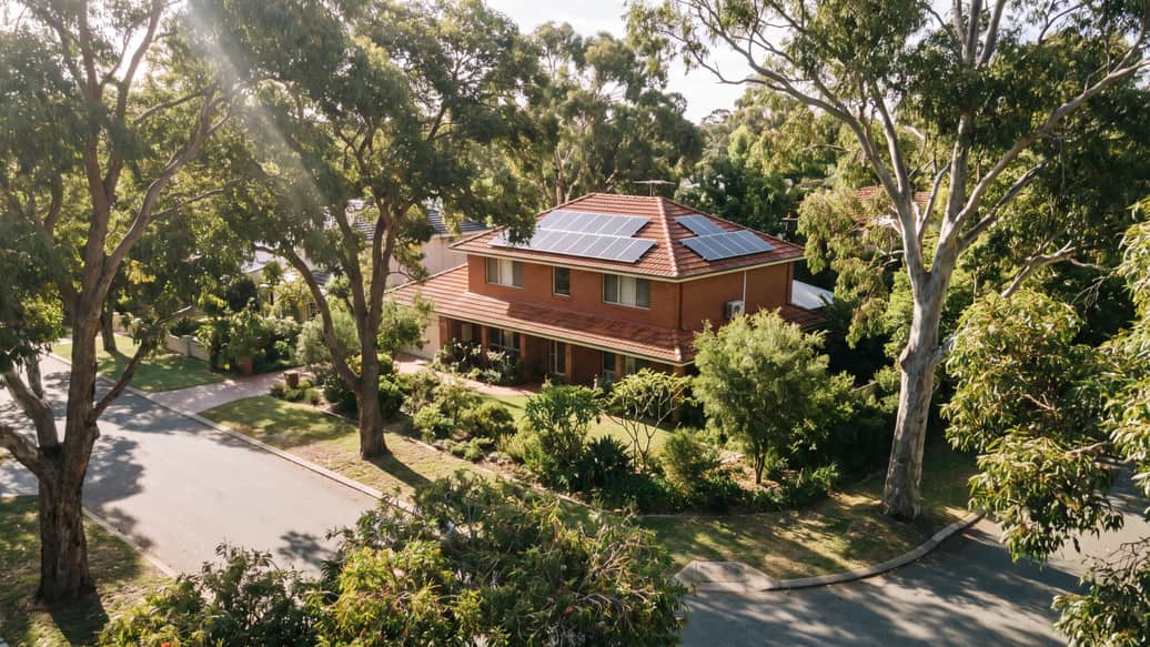 A leafy Perth suburban street with mature trees, a home with solar panels visible, Subiaco