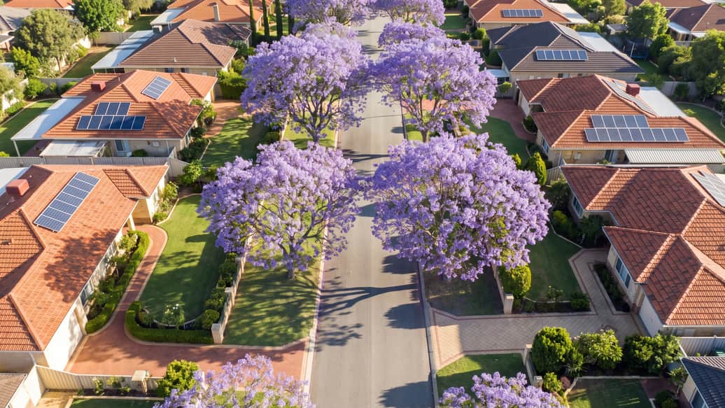 A leafy Perth suburban street with mature trees, a home with solar panels visible, East Victoria Park